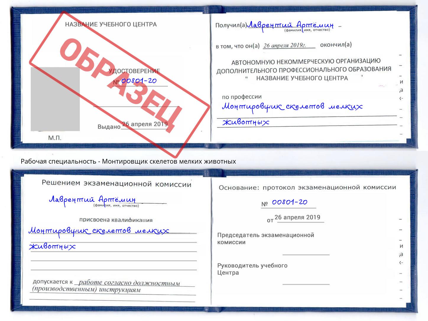 Монтировщик скелетов мелких животных Саранск