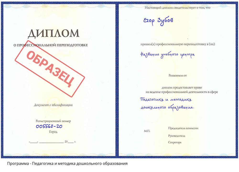 Педагогика и методика дошкольного образования Саранск