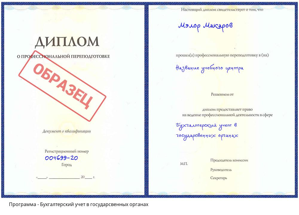 Бухгалтерский учет в государсвенных органах Саранск