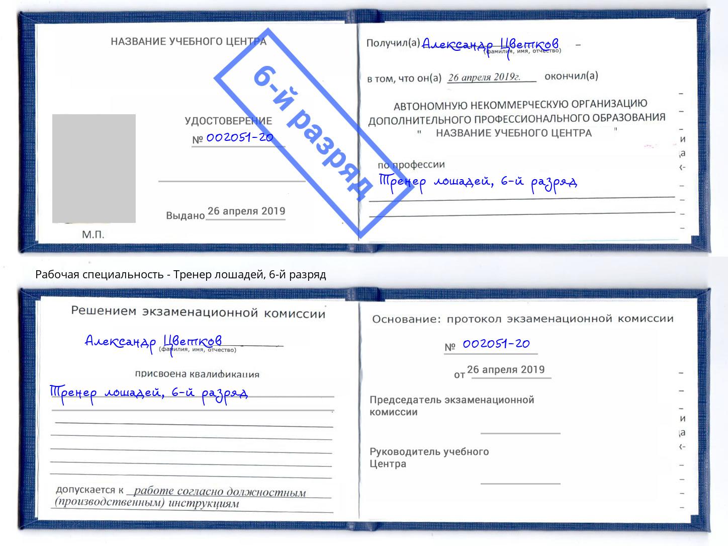 корочка 6-й разряд Тренер лошадей Саранск