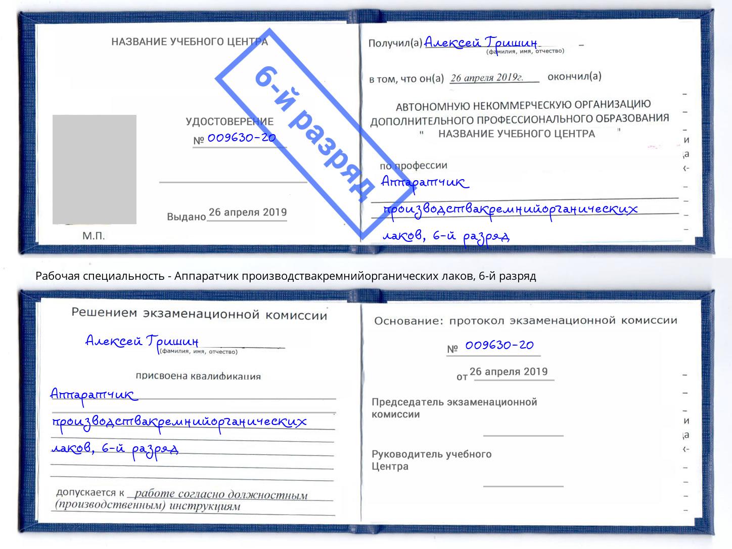 корочка 6-й разряд Аппаратчик производствакремнийорганических лаков Саранск