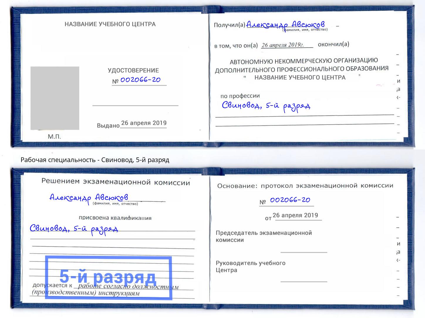 корочка 5-й разряд Свиновод Саранск