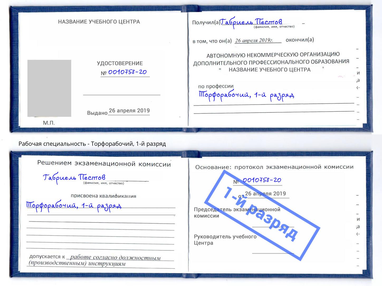 корочка 1-й разряд Торфорабочий Саранск